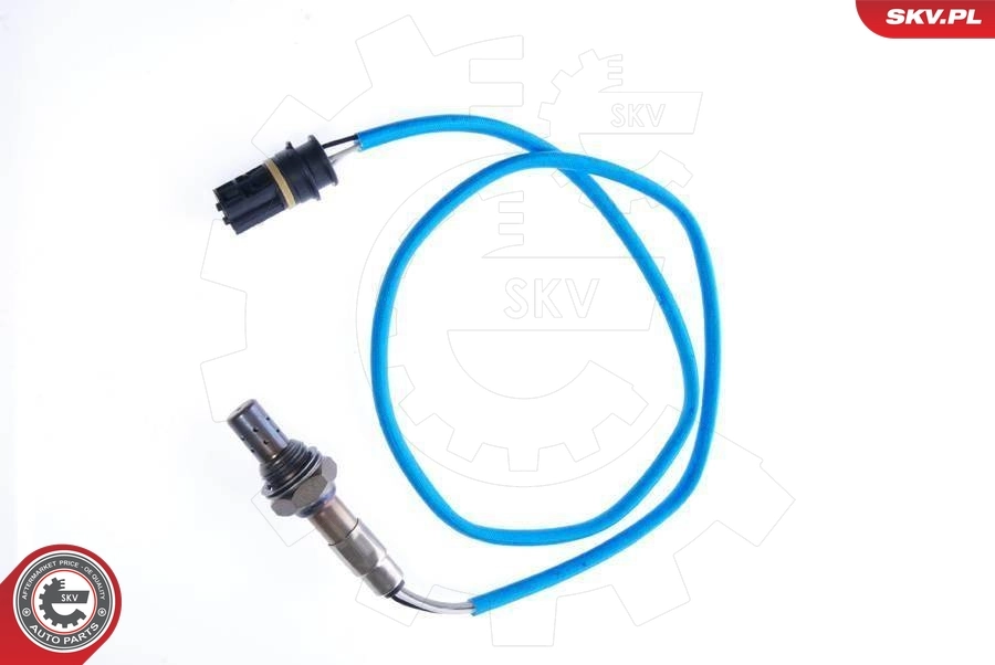 Oxygen Sensor